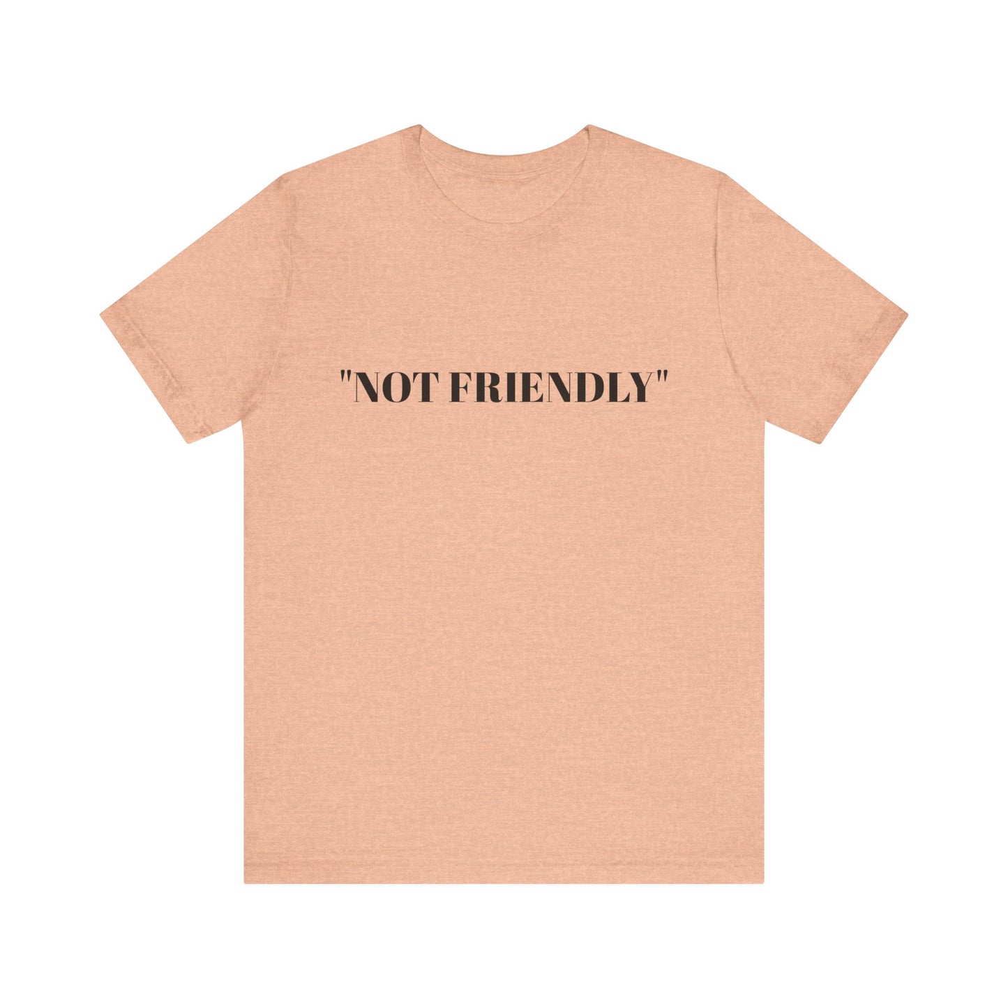 Not Friendly Unisex Tee