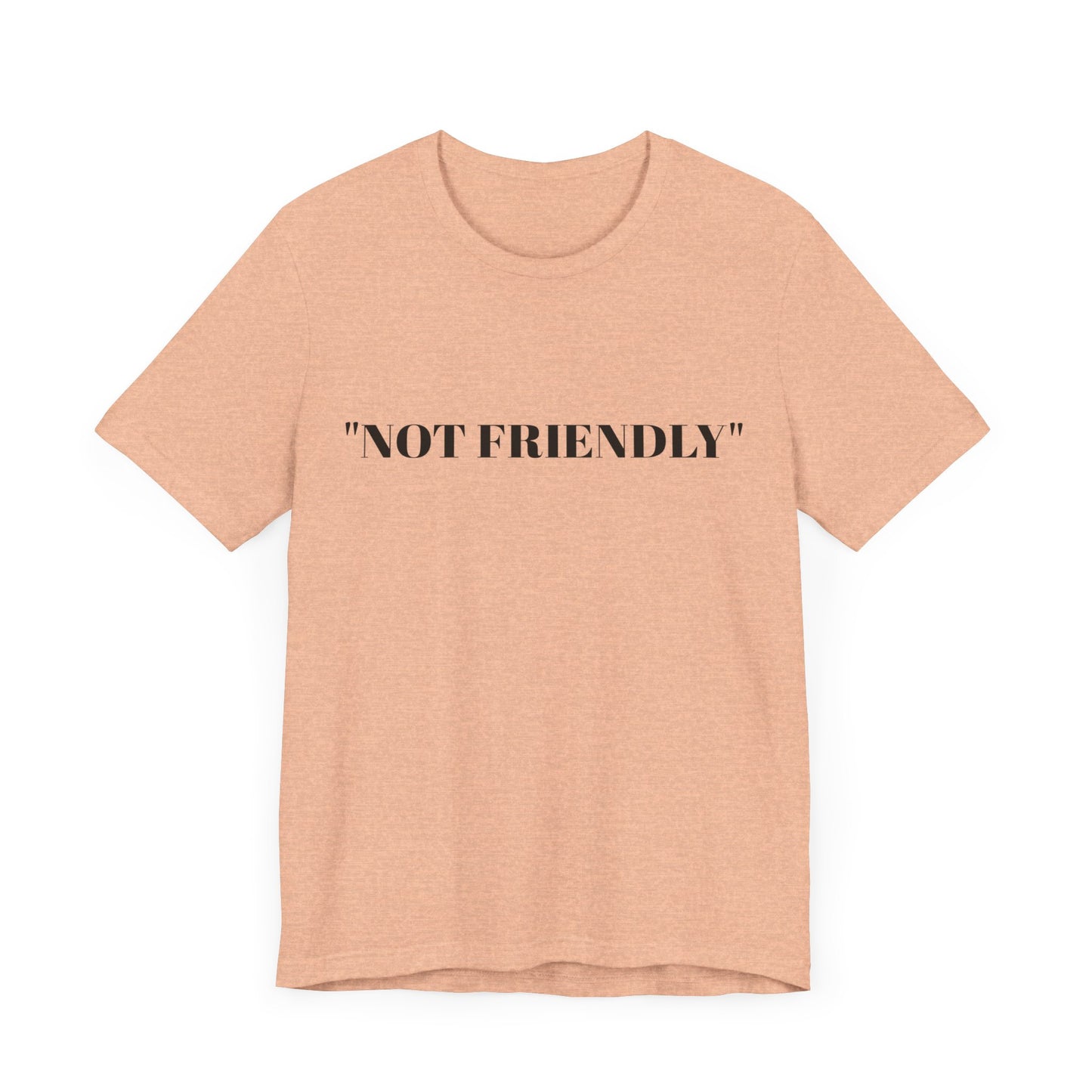 Not Friendly Unisex Tee