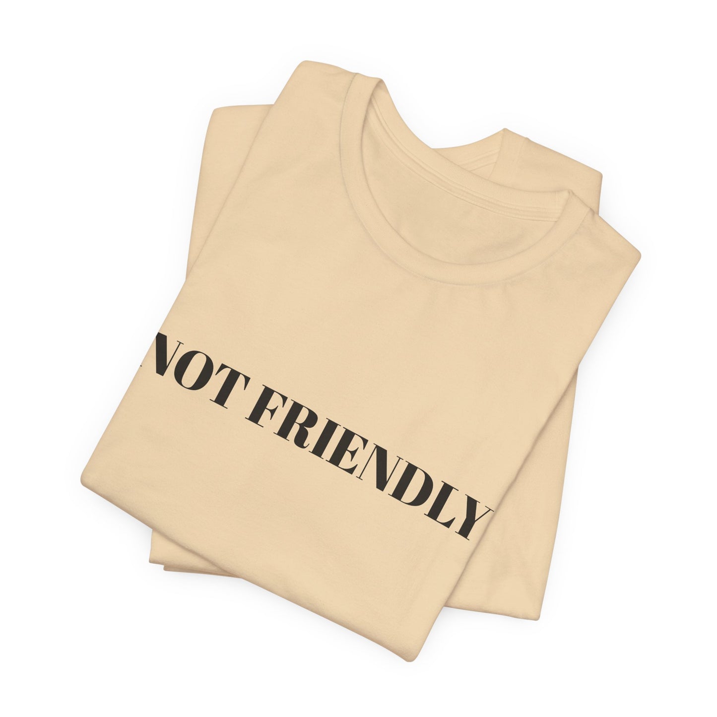 Not Friendly Unisex Tee