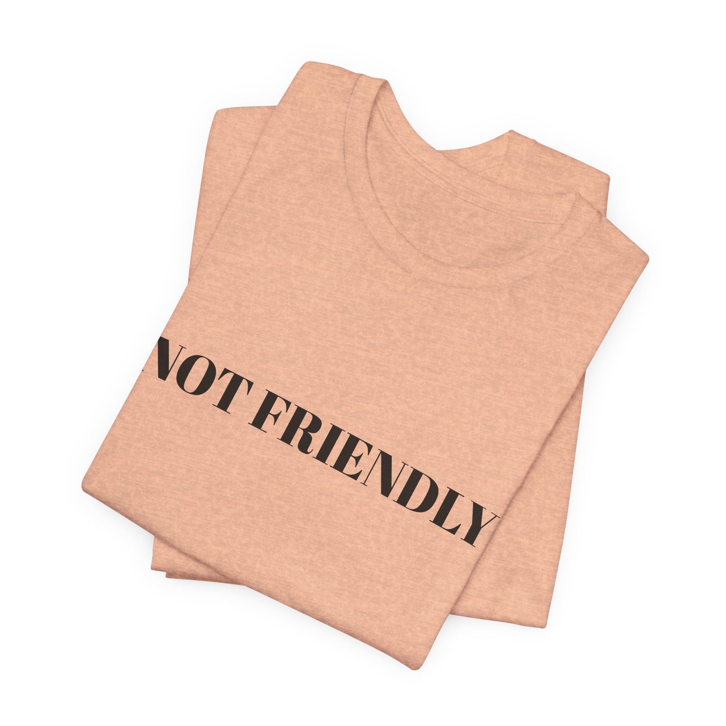 Not Friendly Unisex Tee