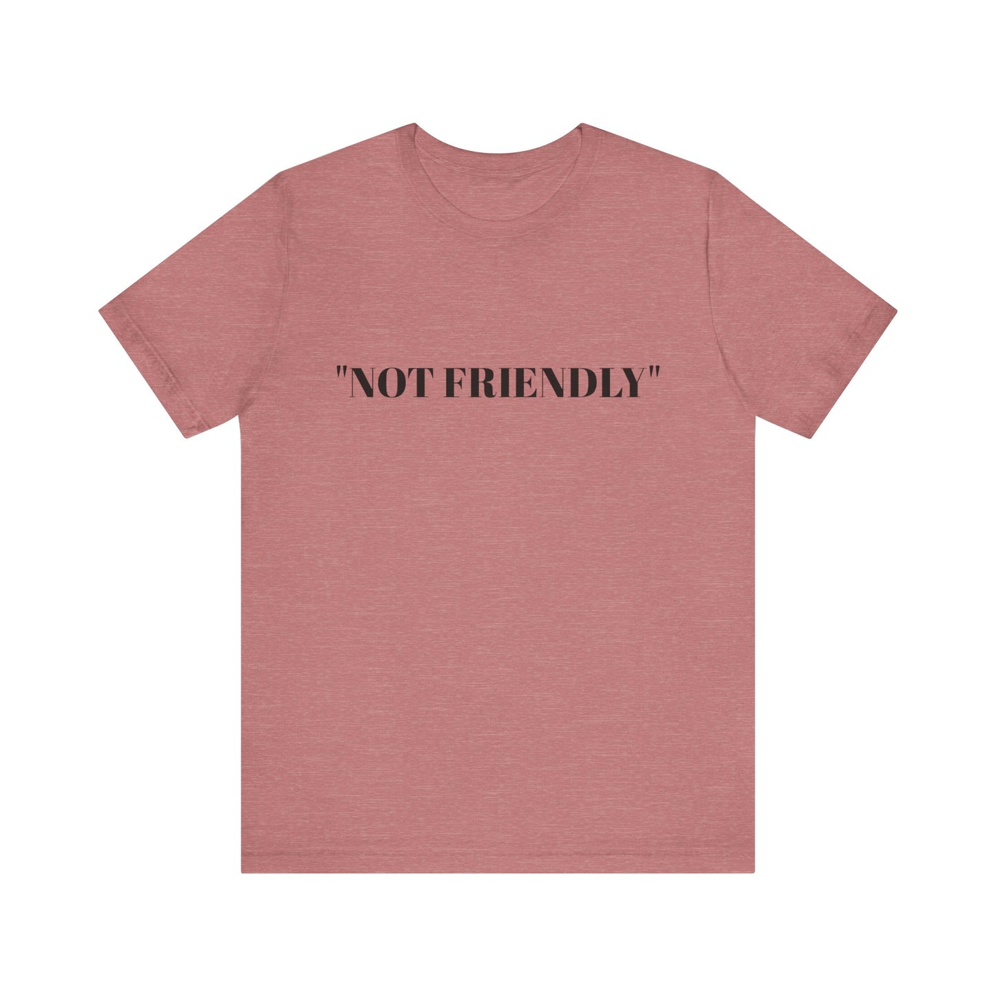 Not Friendly Unisex Tee