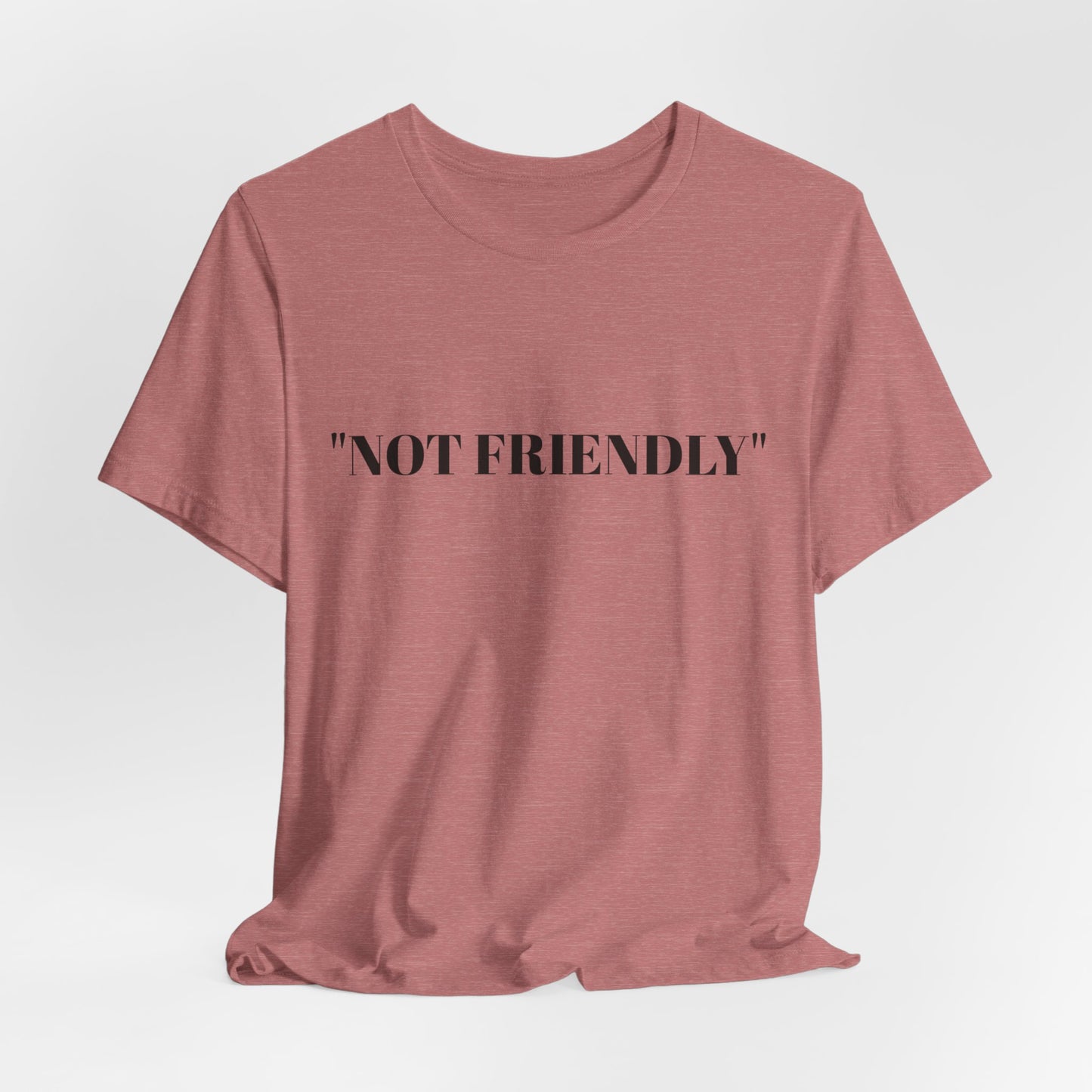 Not Friendly Unisex Tee