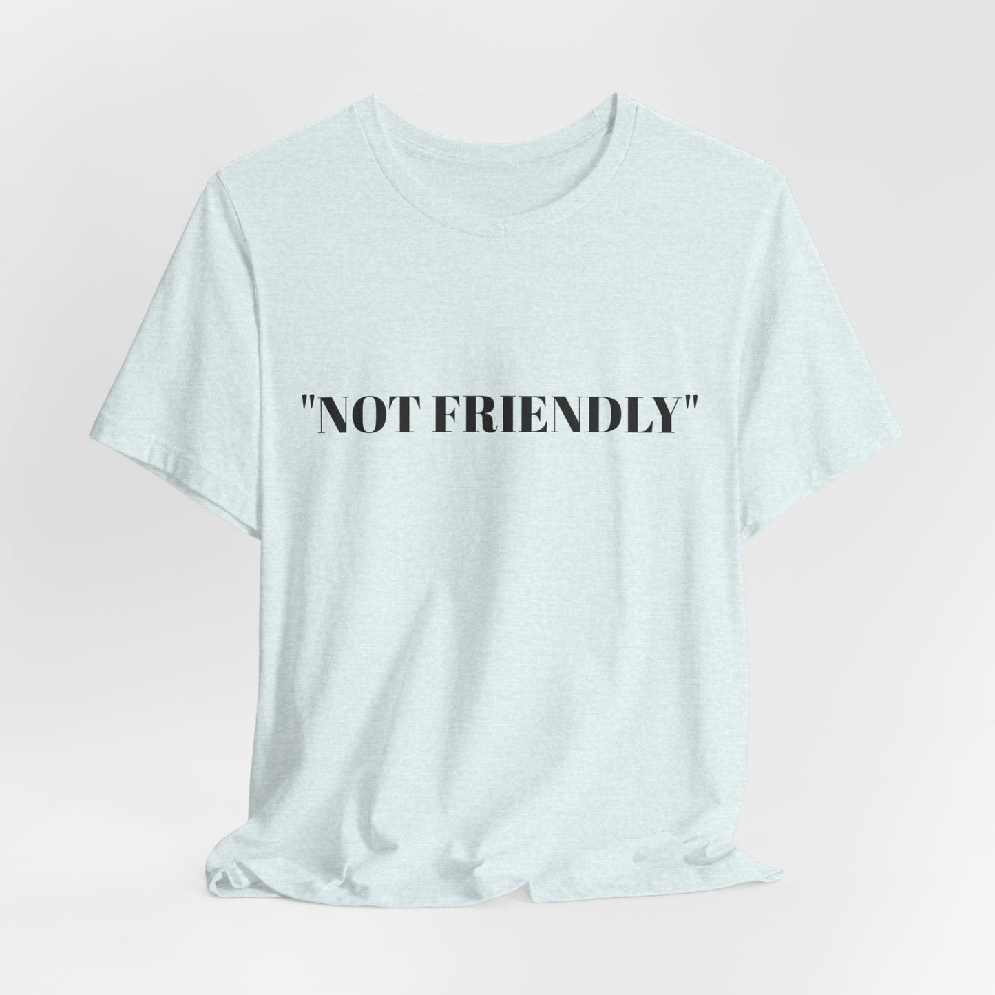 Not Friendly Unisex Tee