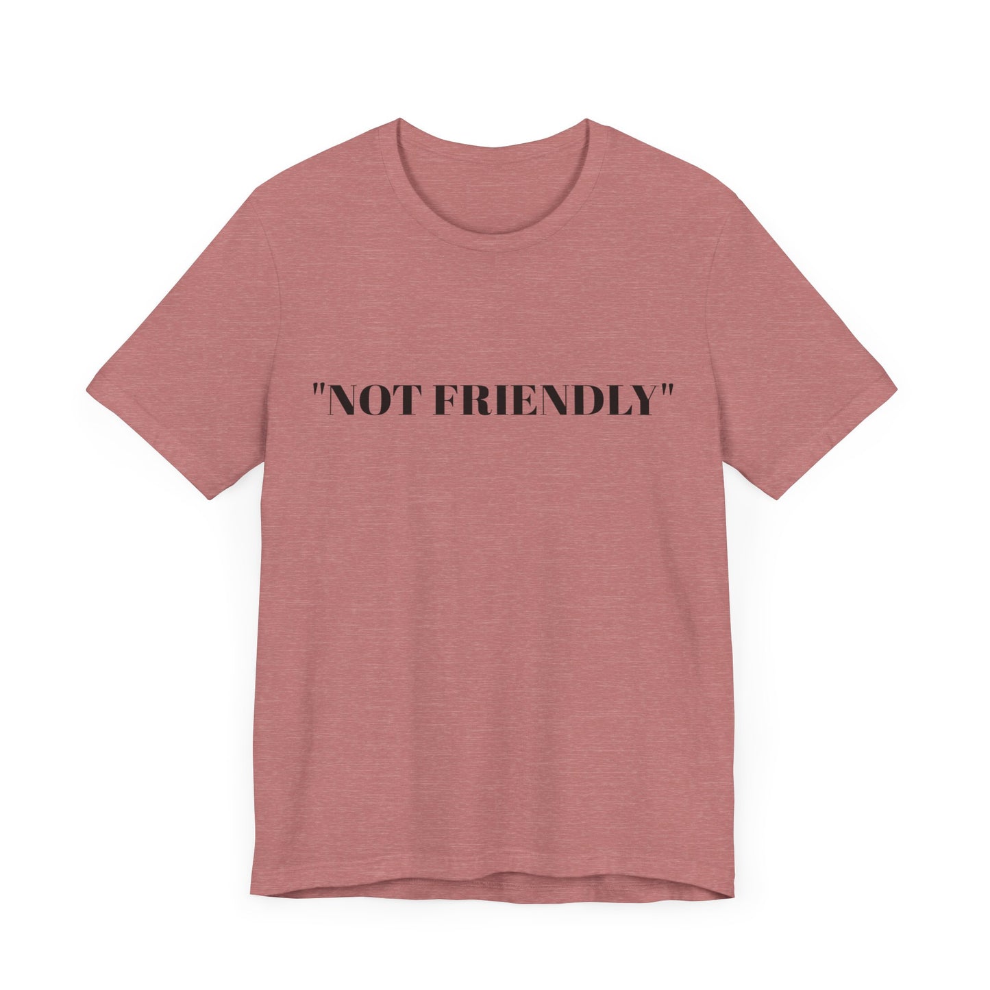 Not Friendly Unisex Tee