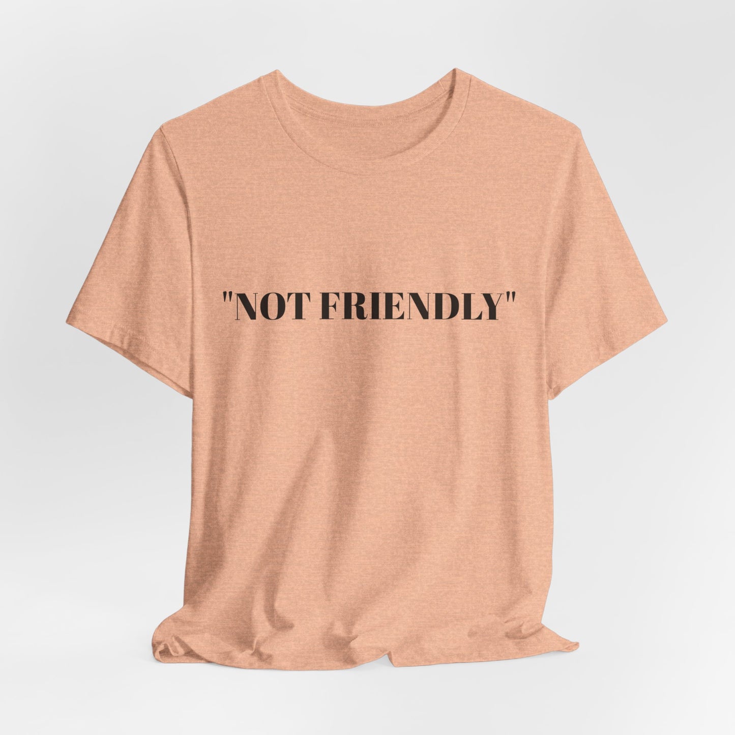 Not Friendly Unisex Tee