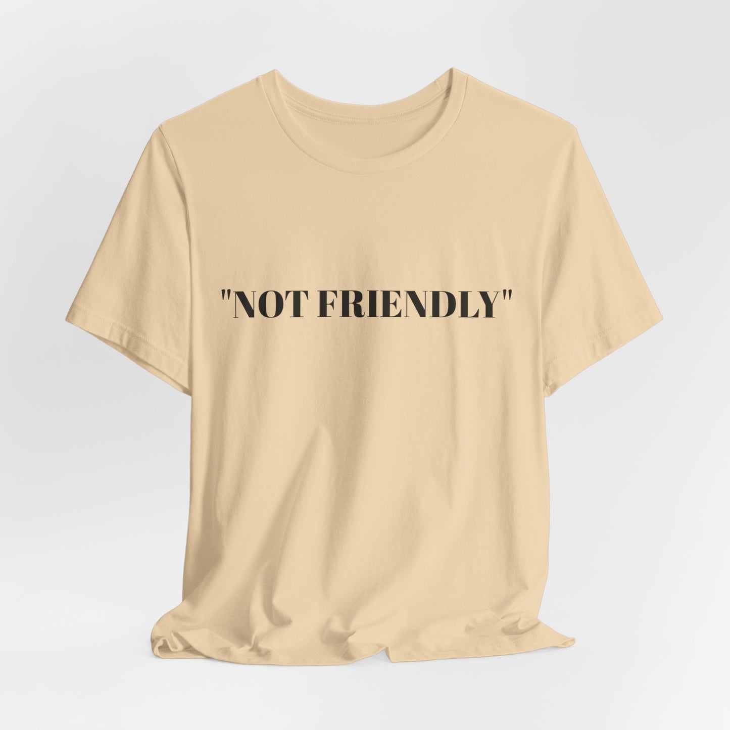 Not Friendly Unisex Tee