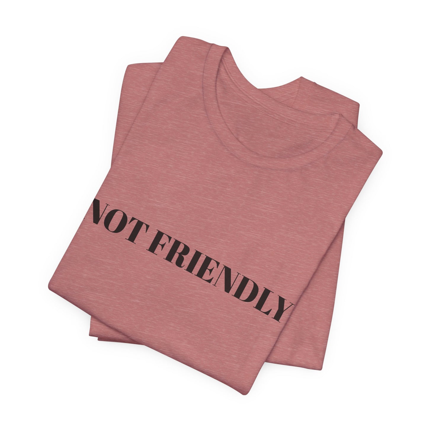 Not Friendly Unisex Tee